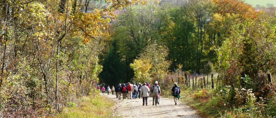 Association Pédestre La Vadrouille