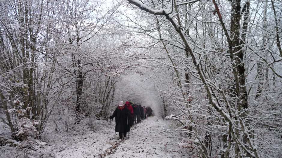 Association Pédestre La Vadrouille